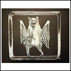 Bat